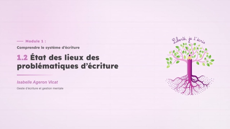Début de la leçon État des lieux des problématiques d'écriture